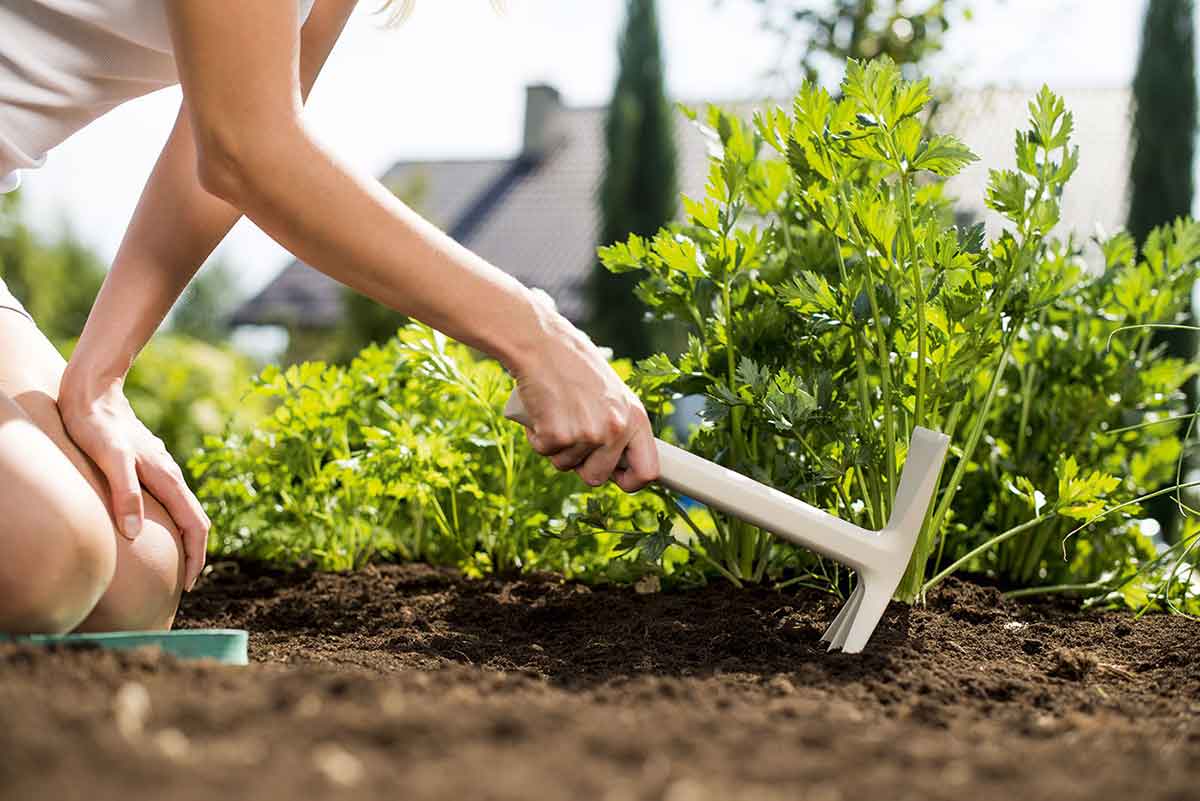 Garten-Fibel Werkzeug Set Doppelhacke im Einsatz bei der Gartenarbeit