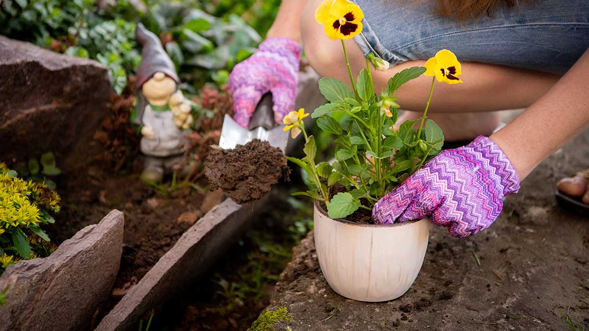 Welche Gartenarbeit steht im Gartenmonat Juni an? » Die Infos